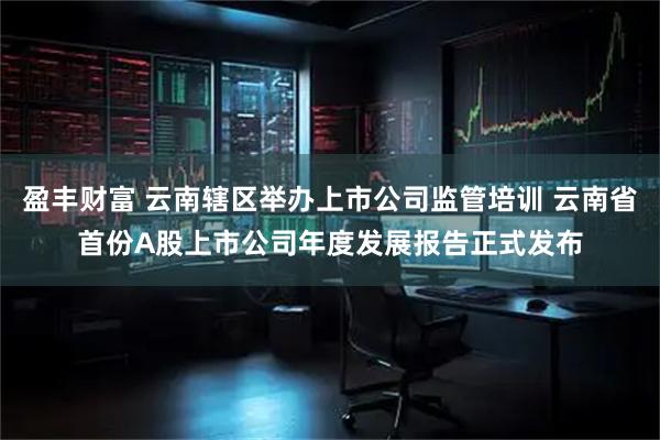 盈丰财富 云南辖区举办上市公司监管培训 云南省首份A股上市公司年度发展报告正式发布